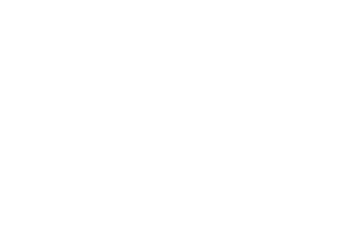 Omega Seguros Logo